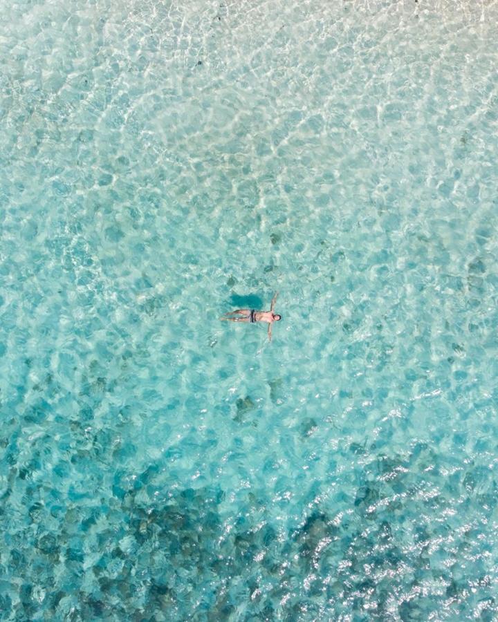 Pelican Beach Resort South Water Caye 단그리가 외부 사진